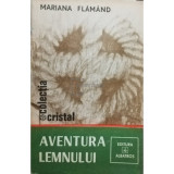 Mariana Flamand - Aventura lemnului (editia 1982)