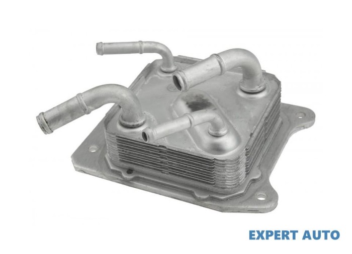 Radiator ulei Renault KOLEOS II (2019-&gt;) #1
