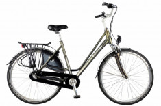 Bicicleta Oras Devron 2830 Darwin Gri Mat L 28 inch foto