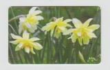 bnk card Cartele telefonice - Romania Romtelecom 2003 Flowers 7 - Col:RO-ROM-0179