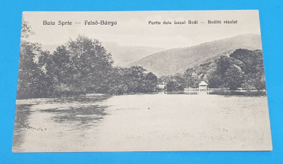 Carte Postala veche anII 1930 - Baia Sprie - Lacul Bodi foto