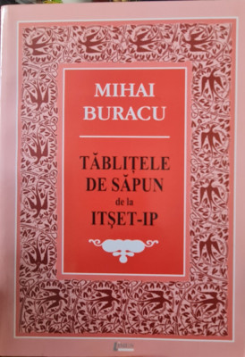 TABLITELE DE SAPUN DE LA ITSET-IP MIHAI BURACU 2008 DETINUT POLITIC PITESTI 136P foto