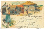 2915 - COUNTRY LIFE, Litho, Romania - old postcard - used - 1898