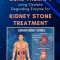 Enzyme and Gene Therapy Using Oxalate Degrading Enzyme for Kidney Stone Treatment