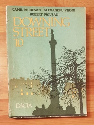Downing Street 10 de Camil Muresan foto