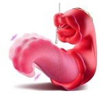 Stimulator Sexy Lips, 10 Moduri Vibratii, 10 Moduri Vibratii, 10 Moduri Rotatii, Silicon, USB Magentic, Rosu, 14.5 cm, Passion Labs