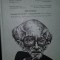 Remembering, reimagining, revalorizing Mircea Eliade Archaevs Archaeus vol XV