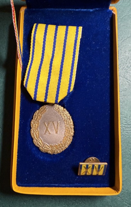 Semnul onorific in serviciul patriei ofiteri 15 ani