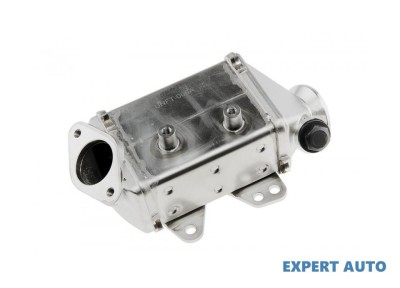 Radiator recirculare gaze Fiat Doblo (2001-&amp;gt;) [119] #1 foto