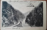 Carte postala, Petrosani detaliu din defileu, 1915