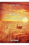 Ratacita intre doua lumi - Cornelia Turcu