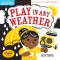 Indestructibles: Play in Any Weather (High Color High Contrast): Chew Proof - Rip Proof - Nontoxic - 100% Washable (Book for Babies, Newborn Books, Sa