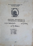 ANATOMIA DESCRIPTIVA SI TOPOGRAFICA A MEMBRELOR-GR. MIHALACHE, N. COZMA, R. CHIRIAC