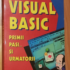 Visual Basic. Primii pasi ... si urmatorii de Luminita Fanaru, Ioan Brava