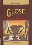 GLOSE IN LABIRINTUL ARTELOR VIZUALE (CU DEDICATIA UTORULUI0-LIVIU SUHAR-350185