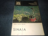 RADU GHICA MOISE - SINAIA