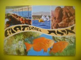 HOPCT 6132 EILAT -ISRAEL-ASIA -NECIRCULATA