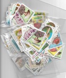 PLIC FILATELIC 40 TIMBRE STRAINE DIFERITE STAMPILATE, CU TEMA CIUPERCI + BONUS, Flora