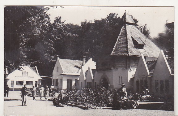 bnk cp Vata de Jos - Strandul - uzata