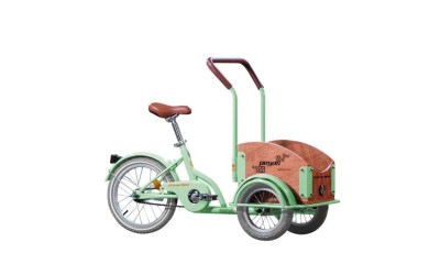 PEGAS MINI CARGO 1S VERDE FISTIC foto
