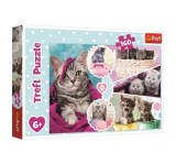 Cumpara ieftin Puzzle Trefl pisici dragalase, 160 piese