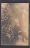 Foto tip Carte Postala Romania - in curte, Circulata, Fotografie