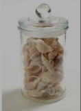 Borcan cu scoici decorative galbene | Serax