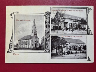 Timis Cenei foto