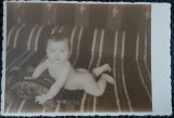 Fotografie tip Carte postala, Baietel de 6 luni, 1937