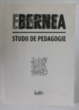 STUDII DE PEDAGOGIE de ERNEST BERNEA , ANII &#039;2000