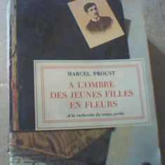 M. Proust- A L`OMBRE DES JEUNES FILLES EN FLEURS / A la recherche du temps perdu