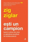Cumpara ieftin Esti un campion. Lasa-ti stima de sine si gandirea pozitiva sa straluceasc