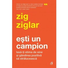Esti un campion. Lasa-ti stima de sine si gandirea pozitiva sa straluceasc