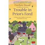 Trouble In Priors Ford