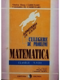 Viorica Elena Carbunaru - Culegere de probleme de matematica clasele V - VIII (editia 1995)