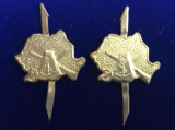 Insigne militare- Rom&acirc;nia - Semne de armă - Grăniceri variantă mică ( aurii)
