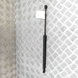 Amortizor haion st&acirc;nga CITRO&Euml;N C4 III BA_, BB_, BC_ 2024 OEM: 9831083780 29907496