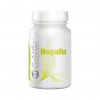 CaliVita Nopalin - Fibre Cactus, 200 tablete - Glicemie, Colesterol, Slabire, Digestie, Antioxidant, Supliment Vegan