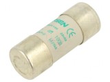 Siguranță ceramică 100A 500VAC 22x58mm