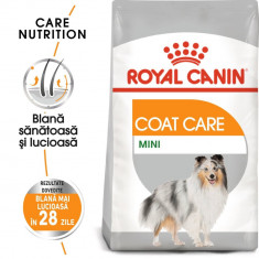 Royal Canin Mini Coat Care Adult hrană uscată câine, blană sănătoasă și lucioasă, 3kg