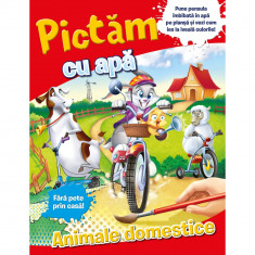 Pictam cu apa. Animale domestice foto