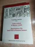 Cumpara ieftin Lumea evreiasca in literatura romana / Representations of the Jewish World in Romanian Literature - Camelia Craciun (editor), (Editura UAIC, 2013)