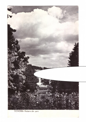 CP Govora - Vedere din parc, RPR, circulata 1962, stare foarte buna foto