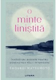 Cumpara ieftin O minte linistita