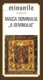 Minunile icoanei Maica Domnului - a Semnului - Sophia
