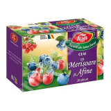 CEAI AROMFRUCT AFINE SI MERISOR CT*20PLICURI FARES