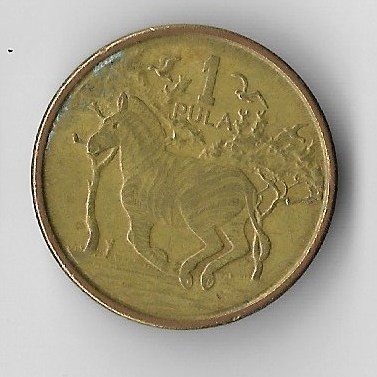 Moneda 1 pula 2013 - Botswana foto