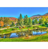 Cumpara ieftin Puzzle Bluebird - Stowe, Vermont, Usa, 1000 piese