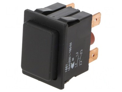 Comutator DPST-NO 16A 250V AC foto