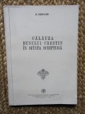 CALAUZA BUNULUI CRESTIN IN SFANTA SCRIPTURA de D. IORDACHE , 1983